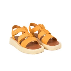 Pataugas ATARI/NU F2I OCRE 11 Pataugas ATARI/NU F2I OCRE -Pataugas Soldes Boutique SANDALE FEMME ATARI NU F2I OCRE 628448 251 4 0fc7fac9 5088 4f30 8f1a 4cc7a3bacf39
